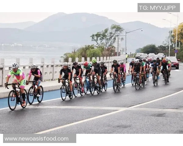 杭州羽毛球队个人能力大揭秘:大满贯赛事中的精彩表现与成长分析 杭州羽毛球队个人能力大揭秘:大满贯赛事中的精彩表现与成长分析