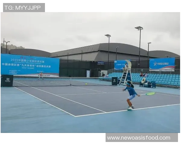 杭州网球队在杯赛中的实力展现与战术分析全面解读 杭州网球队在杯赛中的实力展现与战术分析全面解读