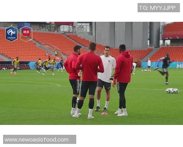 小组赛精彩对决法国队迎战秘鲁队争夺晋级机会