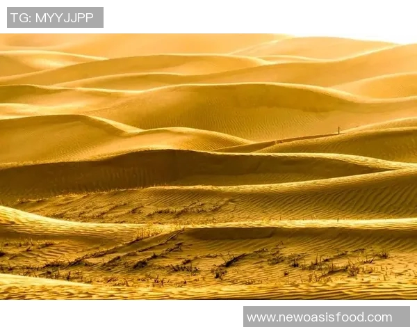 探索阿拉巴的文化魅力与自然风光，体验独特的地方风情与历史遗迹