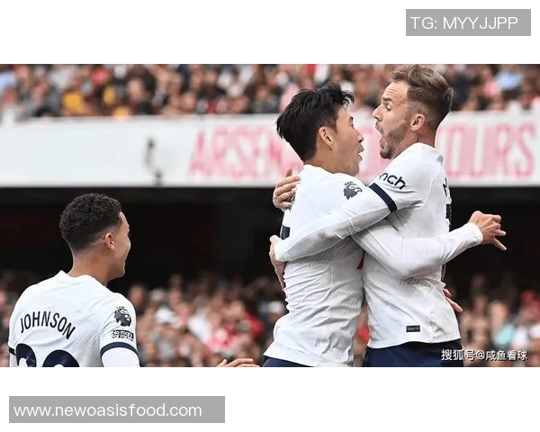 热刺与埃弗顿对决前瞻及比分预测分析，谁能笑到最后