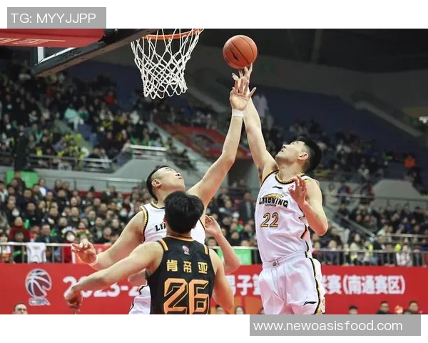 辽宁本钢与时代中国的精彩对决揭示篮球新格局与未来发展潜力