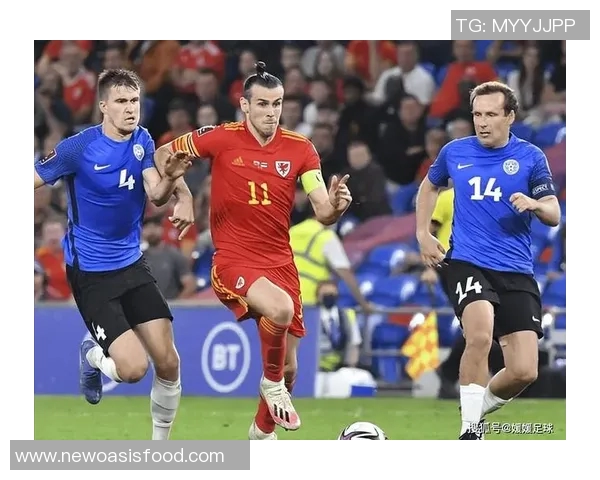 阿塞拜疆与斯洛伐克精彩对决赛果揭晓引发热议