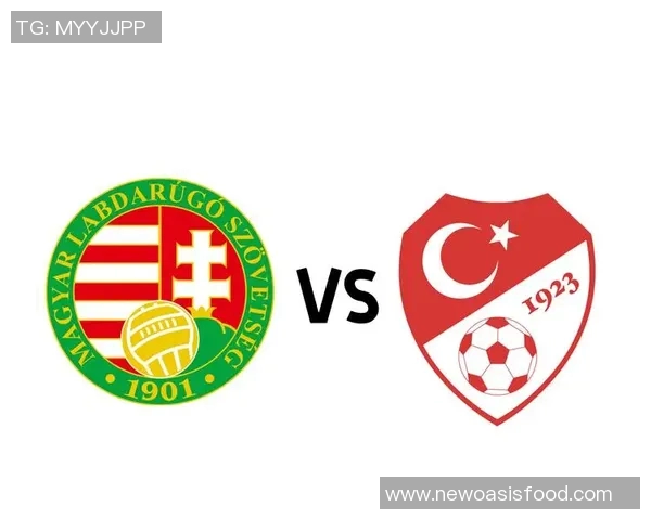 匈牙利与俄罗斯实力对比谁更强大足球历史与现状分析