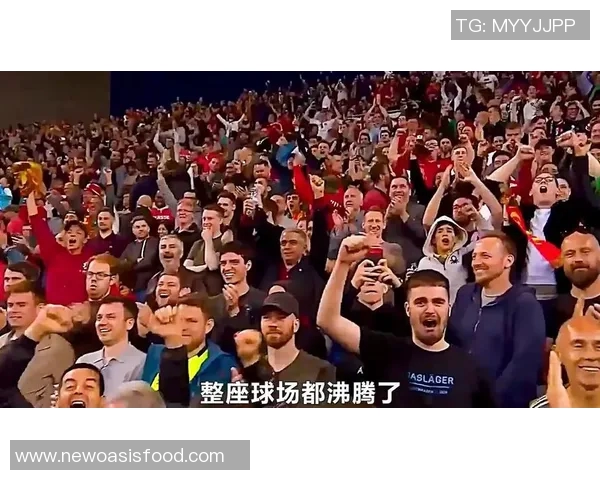 球迷疯狂冲进场内抢夺C罗球衣引发热议的欧冠奇观