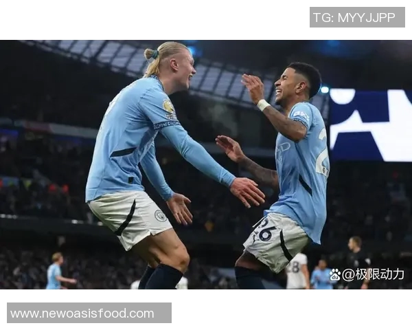 英超激战西布朗迎战布莱顿双方争夺关键三分精彩对决即将上演