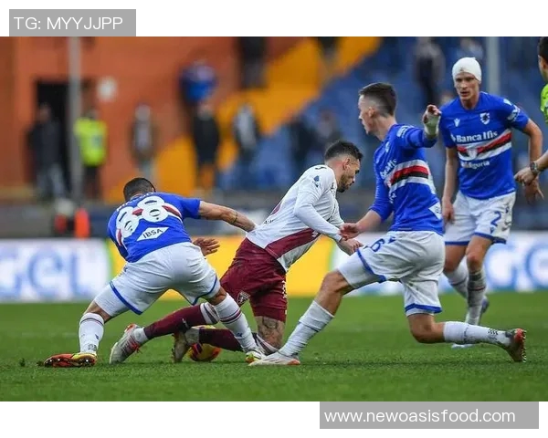 荷乙联赛坎布尔主场迎战青年队期待精彩对决与激烈竞争