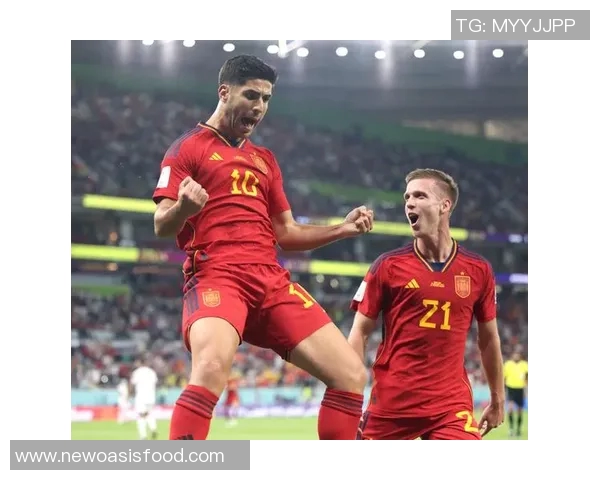 西班牙与法国足球历史交锋记录分析及战绩回顾