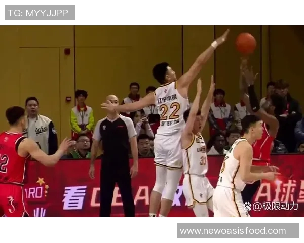 辽宁与新疆第4场激战即将开启球迷期待精彩对决与逆转时刻