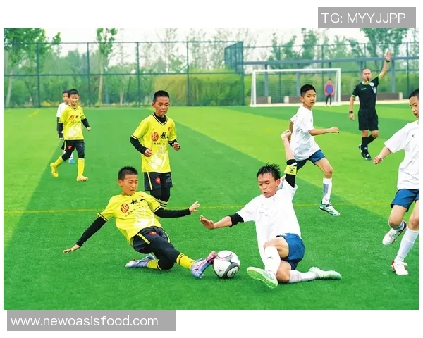 达克尔野与霍尔比的激烈对决揭示了足球战术的深度与魅力