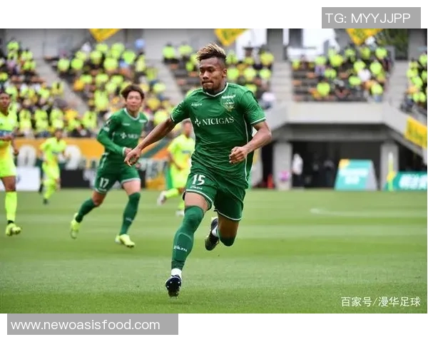 长崎航海者迎战冈山绿雉期待精彩对决与胜利之路