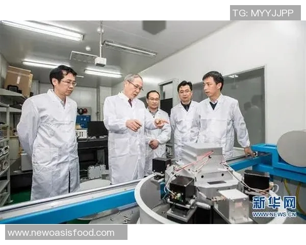 沈梓捷：从青年才俊到国际舞台的中国科学家之路与成就探索