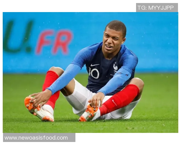 法国与爱尔兰欧洲杯激战在即谁能笑到最后争夺荣耀