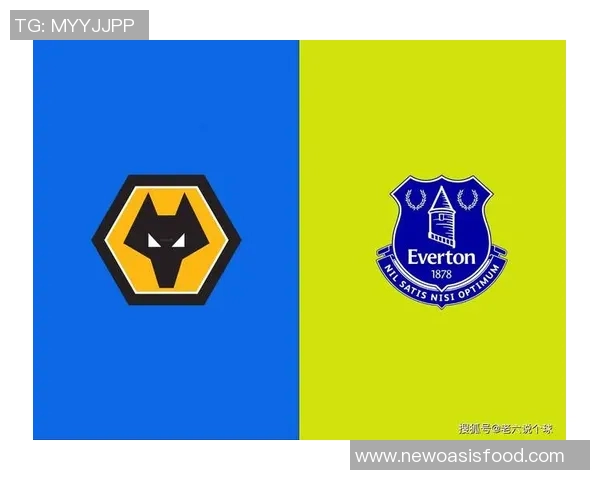 英超哈德斯与埃弗顿实力对比分析及赛季前景展望