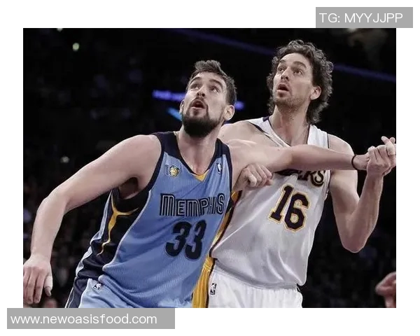 篮球对决分析：塞尔维亚与捷克实力全面比较与展望