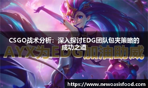 CSGO战术分析：深入探讨EDG团队包夹策略的成功之道