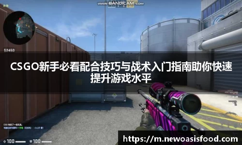 CSGO新手必看配合技巧与战术入门指南助你快速提升游戏水平