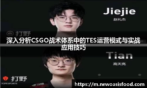 深入分析CSGO战术体系中的TES运营模式与实战应用技巧