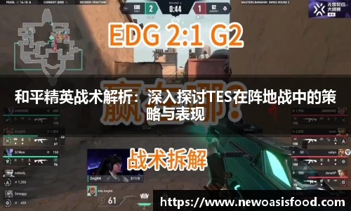 和平精英战术解析：深入探讨TES在阵地战中的策略与表现