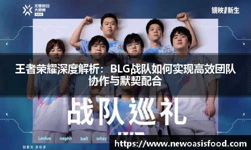 JJB竞技宝
