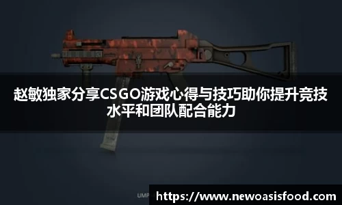 赵敏独家分享CSGO游戏心得与技巧助你提升竞技水平和团队配合能力