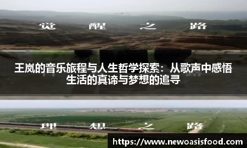 王岚的音乐旅程与人生哲学探索：从歌声中感悟生活的真谛与梦想的追寻