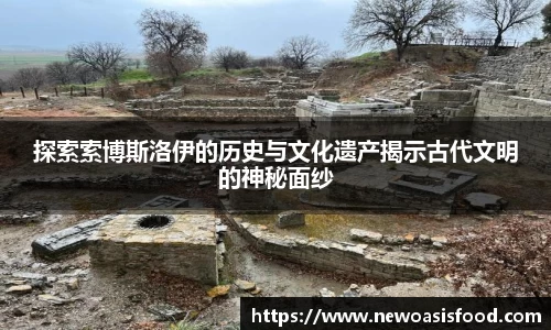 JJB竞技宝