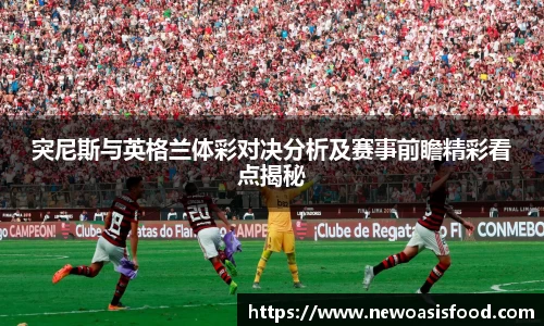 突尼斯与英格兰体彩对决分析及赛事前瞻精彩看点揭秘