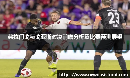 弗拉门戈与戈亚斯对决前瞻分析及比赛预测展望