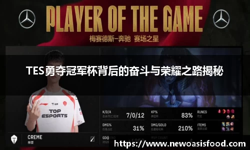 JJB竞技宝