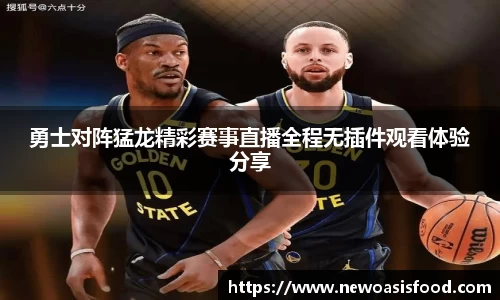 勇士对阵猛龙精彩赛事直播全程无插件观看体验分享