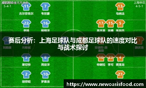 赛后分析：上海足球队与成都足球队的速度对比与战术探讨